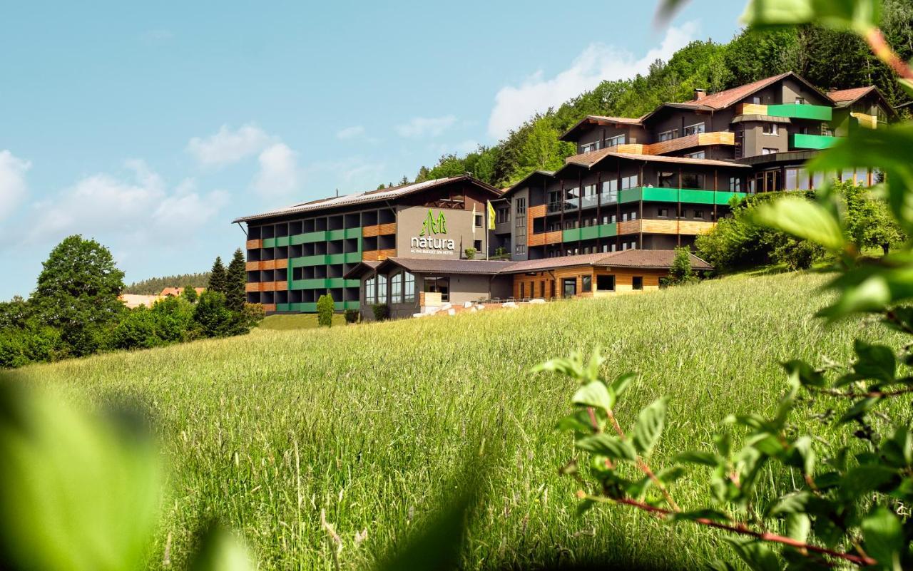 Natura Hotel Bodenmais - Inkl Soft- Und Heissgetraenkeflat Exterior foto